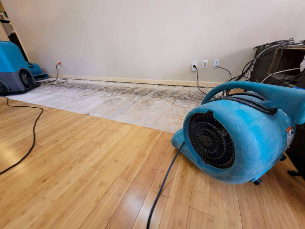 Professional Sewage Cleanup technician working in Coal Center, PA